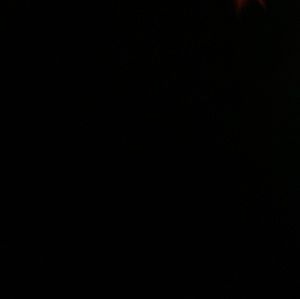 Meet your Posher, Sonya